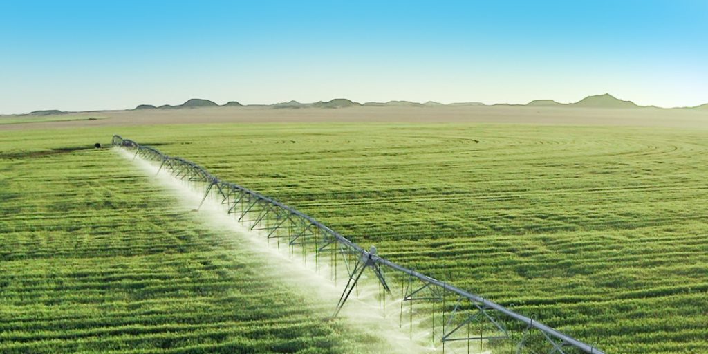 A farmer smiling in a field of crops irrigated by a pivot irrigation system